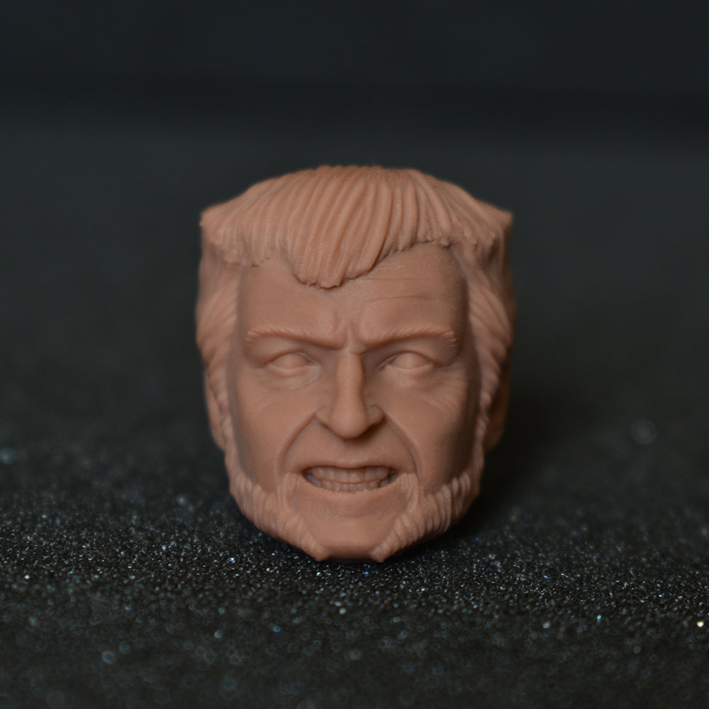 Hugh Jackman Wolverine custom action figure head - Clayman3D