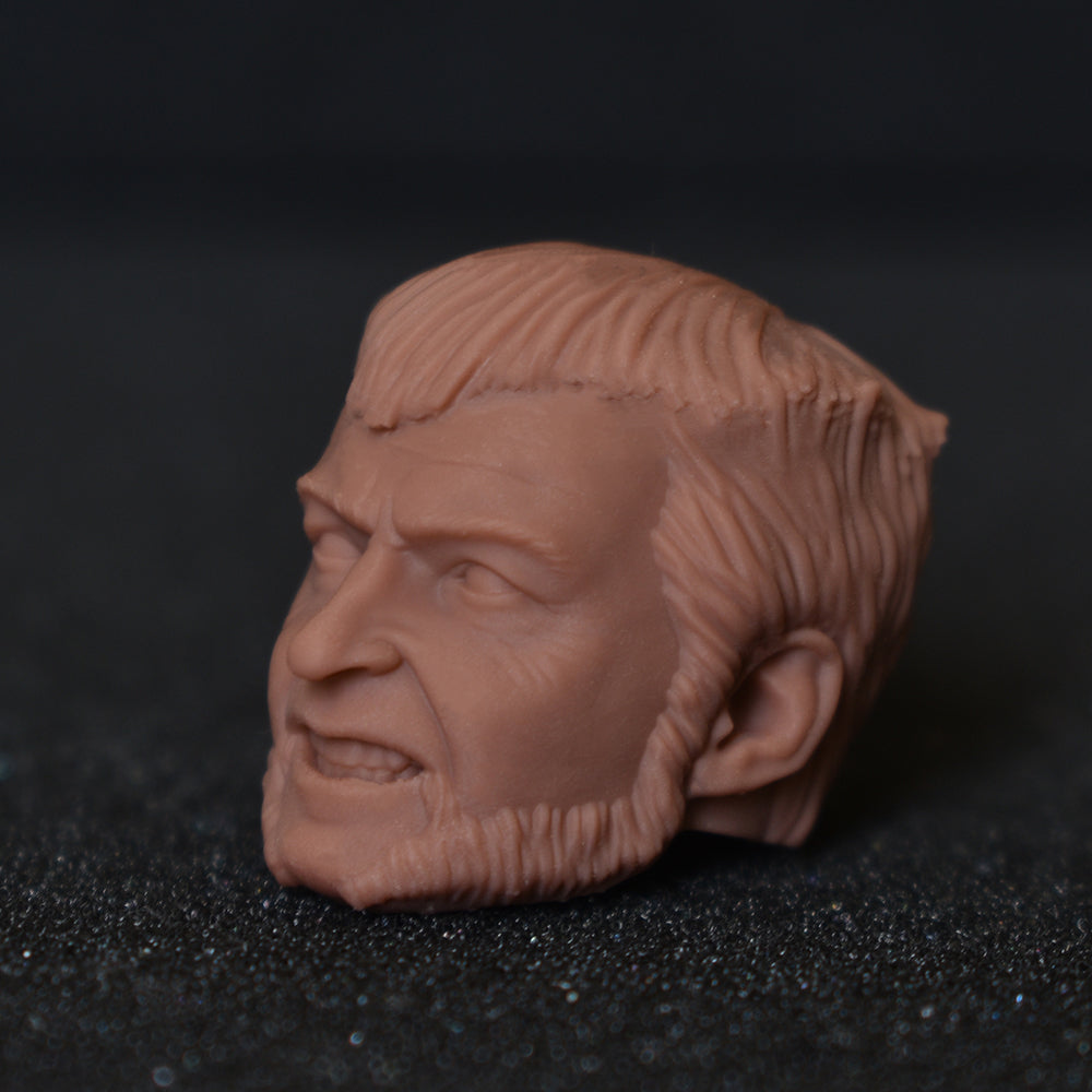 Hugh Jackman Wolverine custom action figure head - Clayman3D