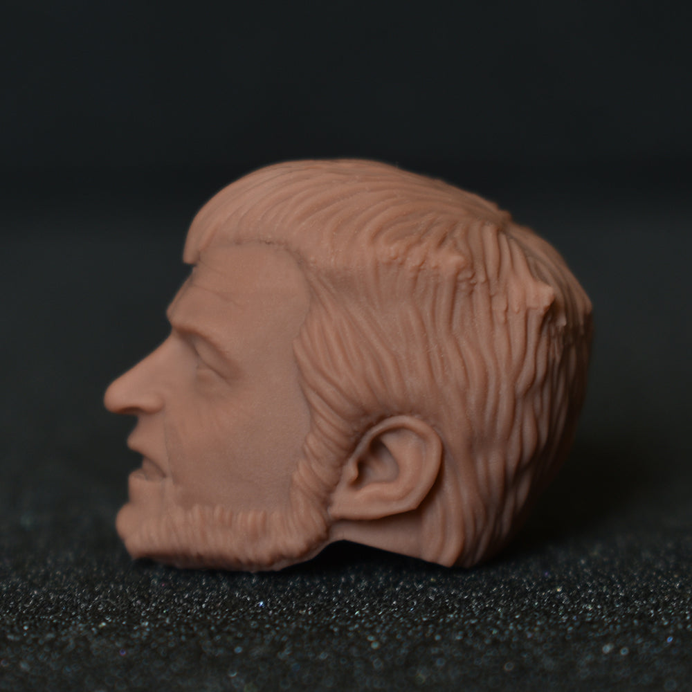 Hugh Jackman Wolverine custom action figure head - Clayman3D