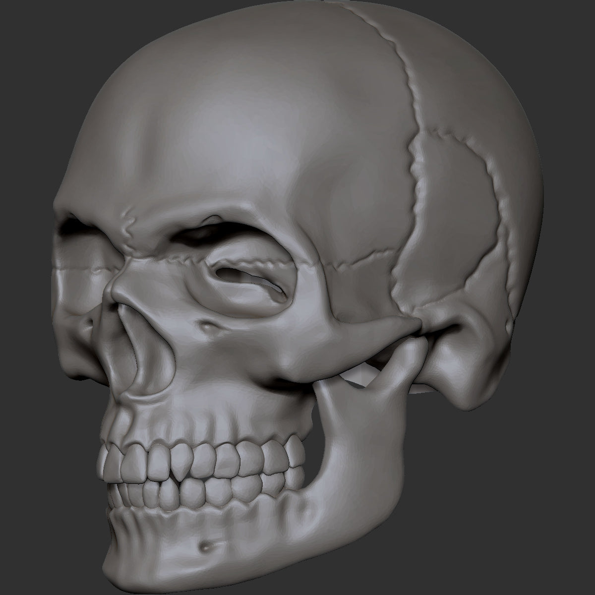 Skull custom action figure head