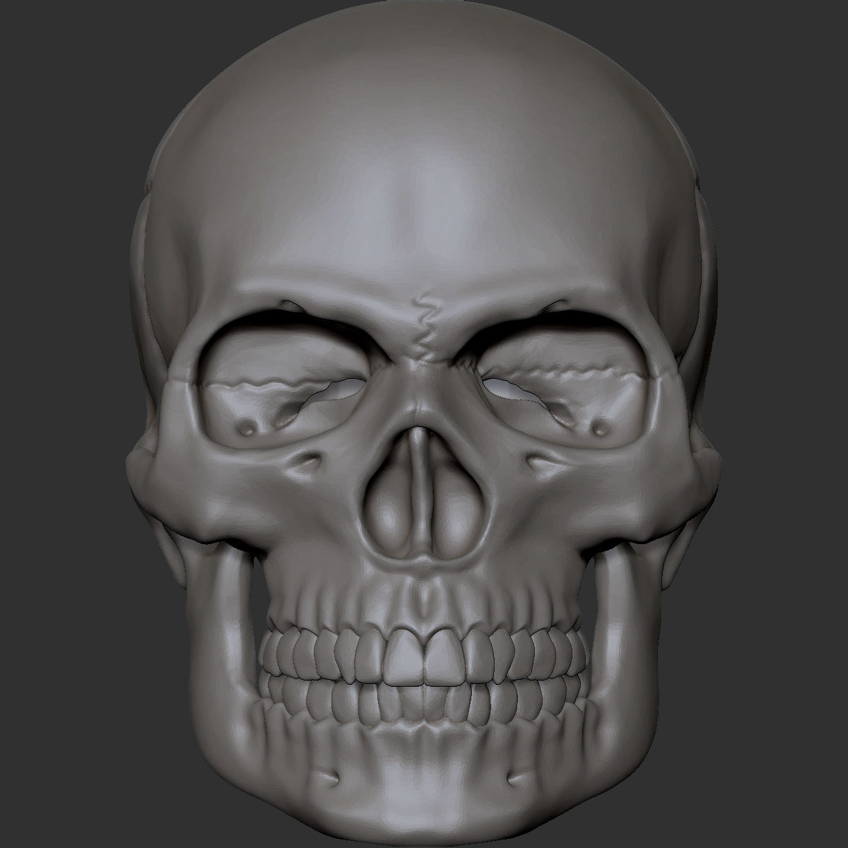 Skull custom action figure head