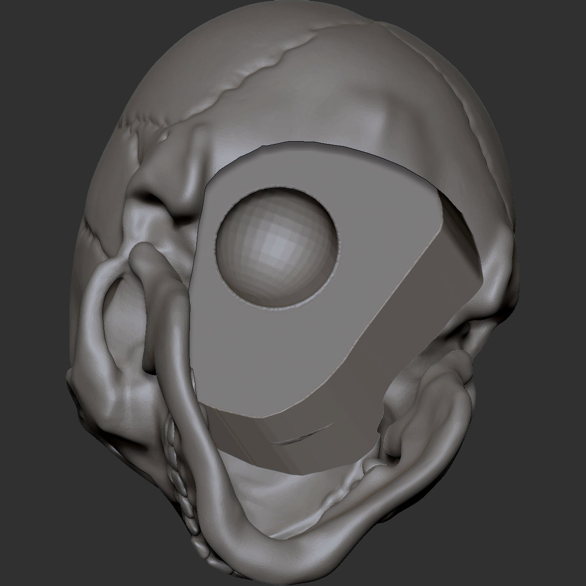 Skull custom action figure head