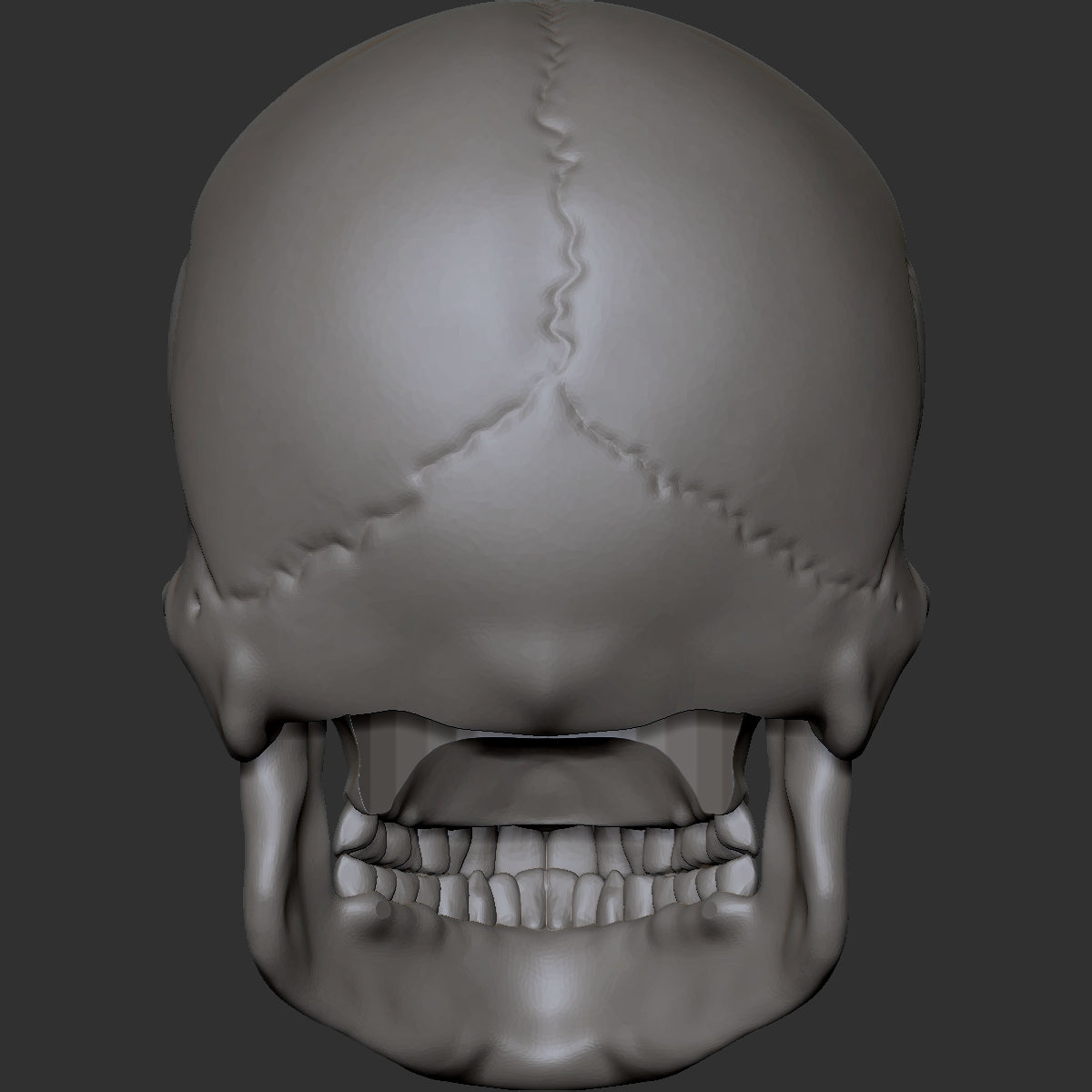 Skull custom action figure head
