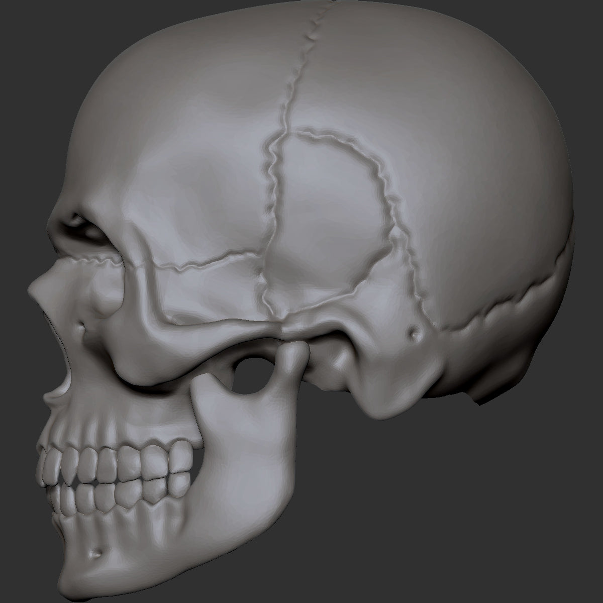 Skull custom action figure head