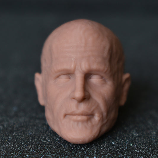 Unmasked Deadpool Ryan Reynolds Wade Wilson custom action figure head - Clayman3D