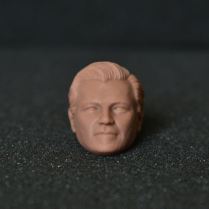Leonardo DiCaprio custom action figure head - Clayman3D