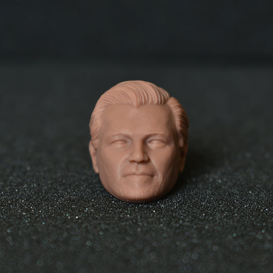 Leonardo DiCaprio custom action figure head - Clayman3D