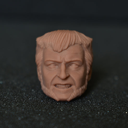 Hugh Jackman Wolverine custom action figure head - Clayman3D