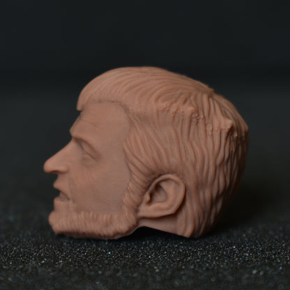 Hugh Jackman Wolverine custom action figure head - Clayman3D