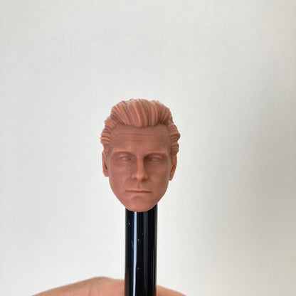 Homelander Anthony Starr custom action figure head
