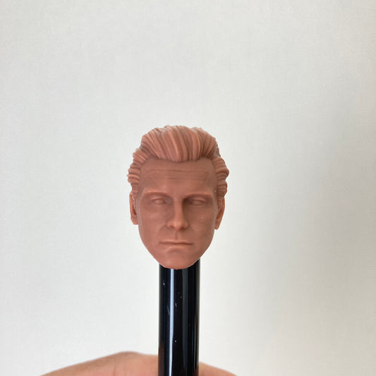 Homelander Anthony Starr custom action figure head