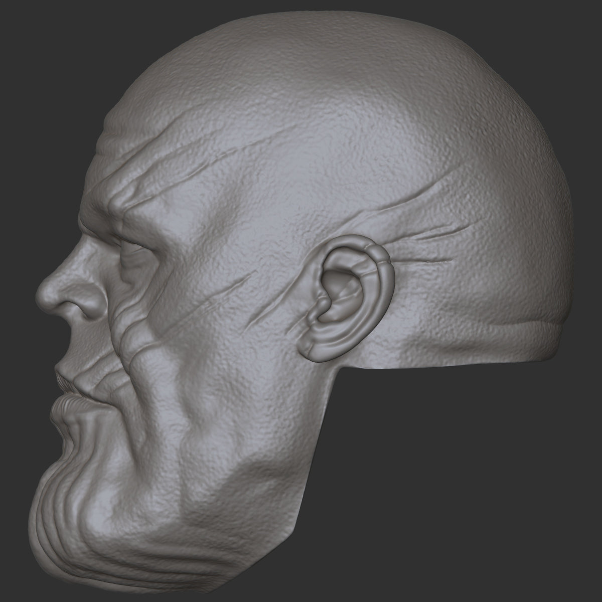 Thanos custom action figure head