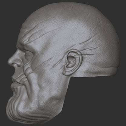 Thanos custom action figure head