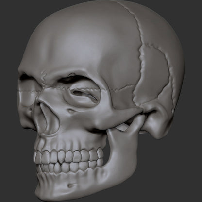 Skull custom action figure head