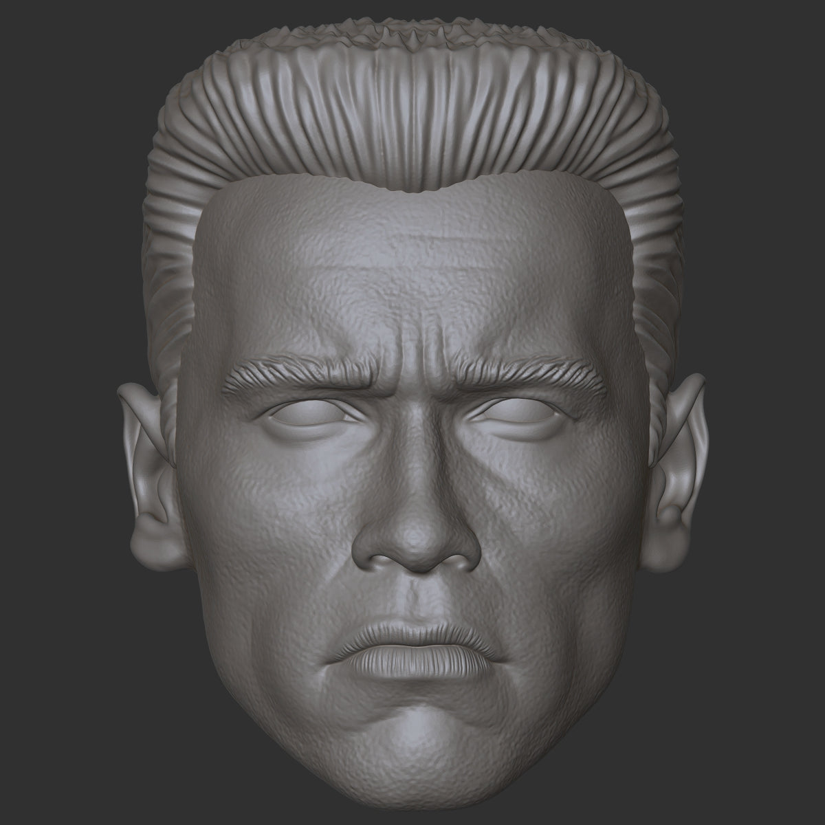 arnold schwarzenegger Terminator custom action figure head