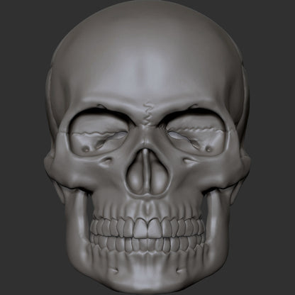 Skull custom action figure head