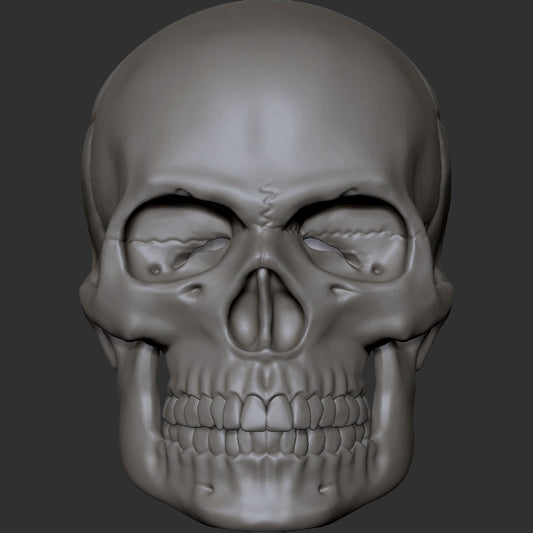 Skull custom action figure head