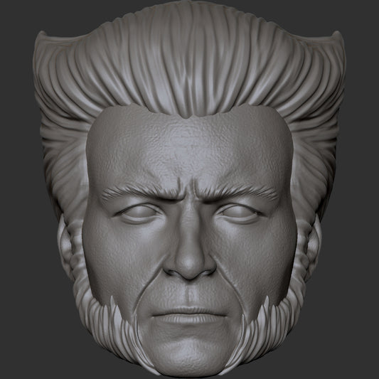 Hugh Jackman young Wolverine custom action figure head