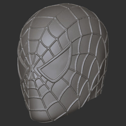 Spiderman Tobey Maguire custom action figure head
