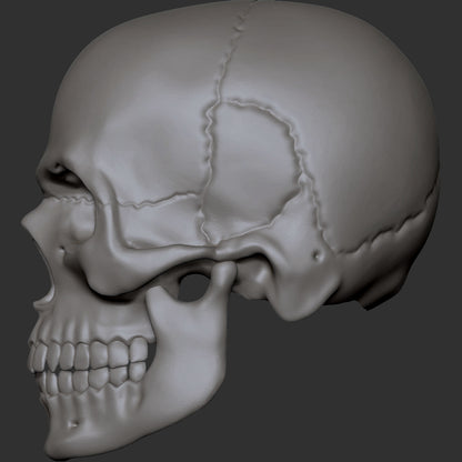 Skull custom action figure head